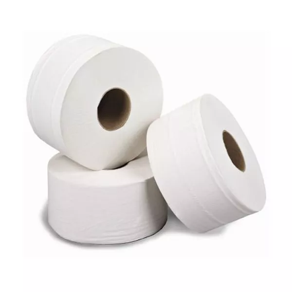 Versatwin Toilet Tissue 2ply White Pk 24